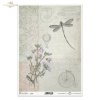 vintage, retro, bicykl, ważka, ważki, balon, list, ręczne pismo, stare napisy, kwiaty lnu, polne kwiatki, ornament kwiatowy, vintage, retro, bicycle, dragonfly, dragonflies, balloon, letter, handwriting, old inscription